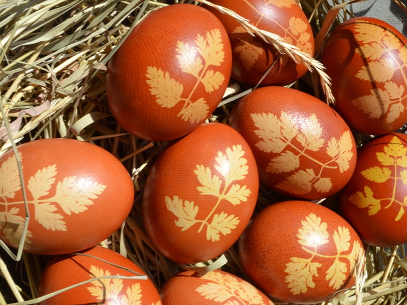 dekor_eggs_vizerynok_cubyla