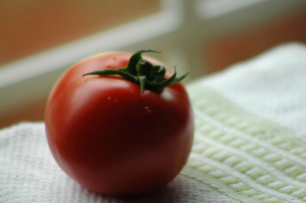 pomidori